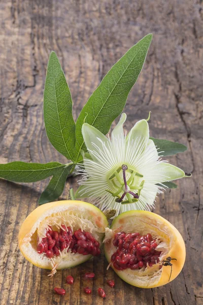 Flor e frutas Passionflower corte Herba Passiflora — Fotografia de Stock