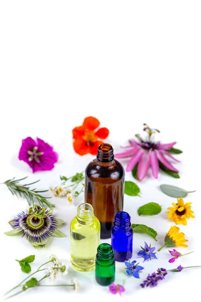 Óleo essencial com ervas naturais, e flores frescas, medicina alternativa — Fotografia de Stock