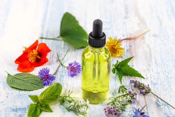 Essential Oil with Natural Herbs, and fresh flowers, Alternative Medicine — стоковое фото