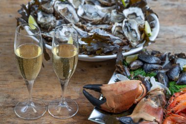Noel arifesi - deniz ürünleri tabağı, istiridye ve şampanya kadehi, üst manzara, şampanya bardakları