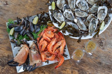 Noel arifesi - deniz ürünleri tabağı, istiridye ve şampanya kadehi, üst manzara, şampanya bardakları