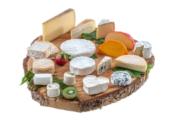 Широкий вибір сирів на тарілці — стокове фото