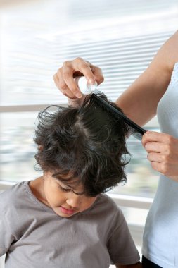 Anne, kızlarının saçlarını bitlere karşı tedavi ediyor. Okul çocuğu için bit tedavisi.