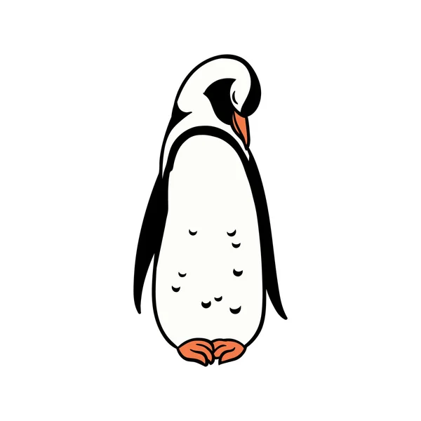 Roztomilý tučňák brýlový spící na bílém pozadí. — Stockový vektor