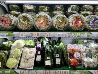 Jakarta, Endonezya - 19 Ekim 2025 - Süpermarket buzdolabı rafındaki taze salata ve sebzeler iç mekan arka planında izole edilmiş.