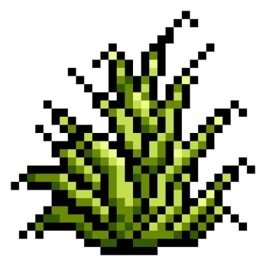 Dikenli çalı bitkisi pikseli renkli resim kare beyaz arkaplanda izole edilmiş.