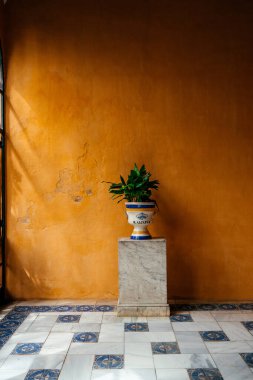 Geleneksel Endülüs Patio Köşesi Turuncu Duvar, Checkerboard Zemin ve Saksı Bitkisi. İspanya, Seville 'deki klasik bir Endülüs avlusunun büyüleyici ayrıntıları: canlı turuncu terasotta duvarı siyah ve beyaz kareli döşeme döşemesi ile çelişiyor..