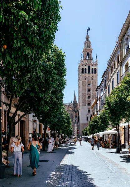 İspanya, Seville 'deki güneşli yaya caddesinde portakal ağaçları ve geleneksel Endülüs binaları arasında yürüyen insanlar var. İkonik Giralda kulesi açık mavi gökyüzünün altında yükseliyor.