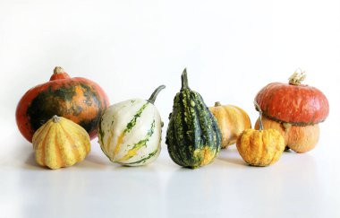 Güzel dekoratif balkabakları beyaz arka planda izole edilmiş. Hasat, düşüş ve cadılar bayramı konsepti.