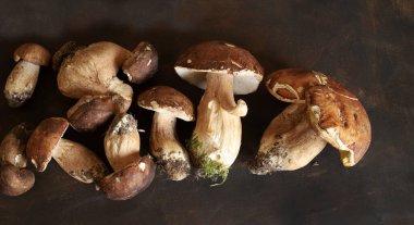 Kahverengi arka planda izole edilmiş organik porcini mantarları. Taze sonbahar orman mantarı. Yenilebilir mantarlar. Genel Görünüm.