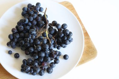 Beyaz arka planda, Canaiolo Nero olarak da bilinen bir demet siyah üzüm. Tuscany 'de yaygın bir siyah üzüm çeşididir..