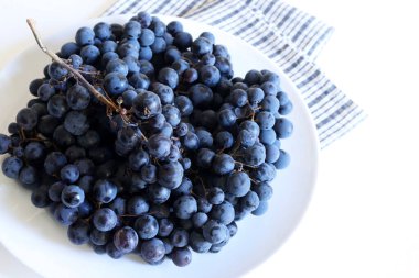 Beyaz arka planda, Canaiolo Nero olarak da bilinen bir demet siyah üzüm. Tuscany 'de yaygın bir siyah üzüm çeşididir..