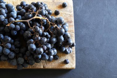Bir demet Canaiolo siyah üzüm (Canaiolo Nero olarak da bilinir), koyu arkaplan. Tuscany ve orta İtalya 'da yaygın bir siyah üzüm çeşididir..
