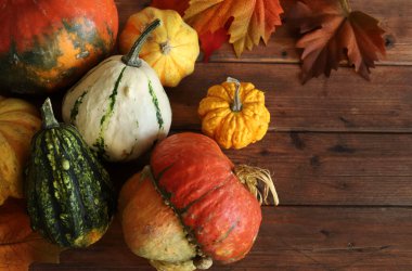 Ahşap bir masada izole edilmiş güzel dekoratif balkabakları. Hasat, düşüş ve cadılar bayramı asgari konsepti. Boşluğu kopyala.