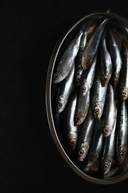 Karanlık bir arka planda taze çiğ sardalya. Deniz ürünleri. Genel bakış. Boşluğu kopyala.