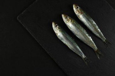 Karanlık bir arka planda taze çiğ sardalya. Deniz ürünleri. Genel bakış. Boşluğu kopyala.
