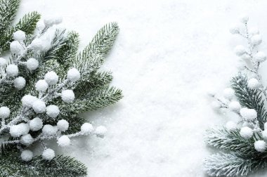 Karla kaplı çam dalları ve beyaz böğürtlenli arka plan, bir kış Noel ortamı. Noel tebrik kartı ya da sosyal medya temalı görüntü için mükemmel. Boşluğu kopyala.
