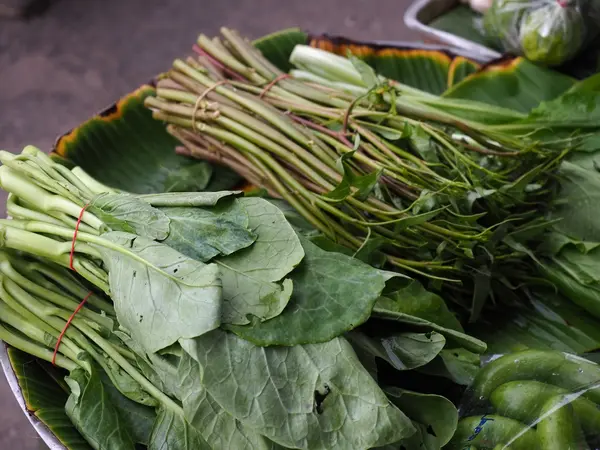 Свіжа зелена китайська капуста — стокове фото