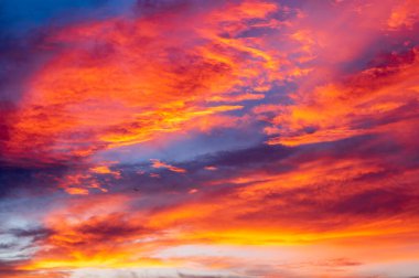 Kırsal kesimde akşam güneşinden önce sıcak gün ışığı..