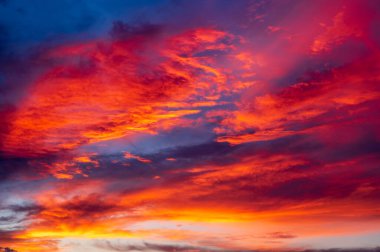 Kırsal kesimde akşam güneşinden önce sıcak gün ışığı..