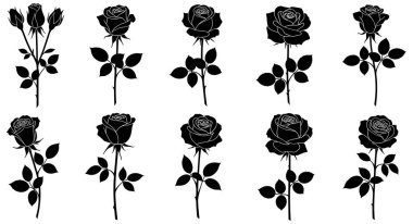 Gül Çiçeği Siluet Koleksiyonu Çiçek Tasarım Vektörü