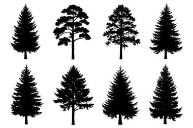 Çam Ağacı Siluet Toplama Kümesi Evergreen Orman Ağacı Vektör Resimleri
