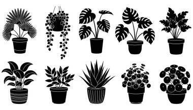 Saklı Tropikal Bitki Silueti Kapalı Botanik Ev Bitkileri Koleksiyonu