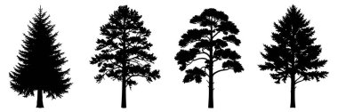 Ağaç silueti farklı orman ağaçları belirledi siyah vektör koleksiyonu izole edildi