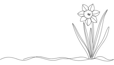 Nergis çiçeğinin bitkisel minimalist ana hatlarını çizen bitkisel çiçek çizimi çizimi