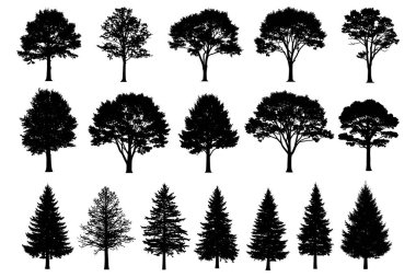 Ağaç silueti koleksiyonu, doğa tasarımı için farklı orman ağaçları ve siyah renkte.