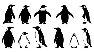 Farklı pozlar ve boyutlarda siyah penguen siluetleri.