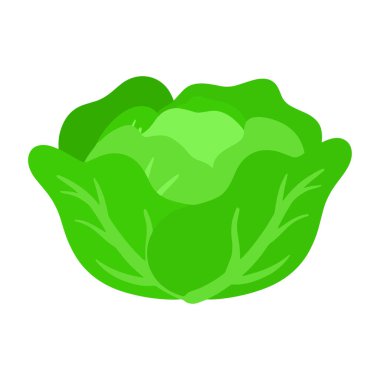 Taze yeşil marul çizimi sağlıklı sebze yemeklerini temsil ediyor.