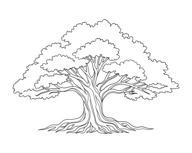 Geniş Olgun Ağacın Geniş Dal ve Resim Simgesine sahip Vektör Özeti