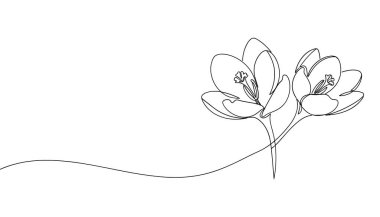 İki Crocus Çiçeği Süreklilik Çizgisi Vektör Anahtar Kelimeleri resimleme simgesi silueti
