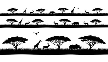 Orman Geyiği Yaban Hayatı Görünümü Görüntü Doğa Çizimi