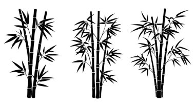 Bambu Siluet Koleksiyonu Tropikal Bitki Vektörü Ayarları