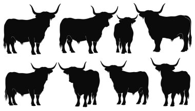 Bull Silueti Çiftlik Hayvanları Hayvanları Toplama