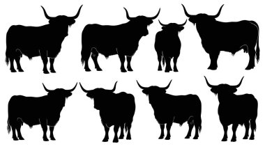 Bull Silueti Çiftlik Hayvanları Hayvanları Toplama