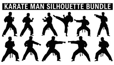 Karate Dövüşçüsü Silueti Dövüş Sanatları Dövüş Pozu Koleksiyonu