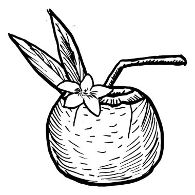 Coconut 'ın içki taslağı. Plaj yaz kokteyli. Hindistan cevizi etiketleri, boyama sayfaları, kumaş tasarımı, plaj parti kartları için kullanılan çizgi sanat vektörü çizimi.