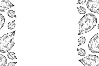 El çizimi ejderha meyve çerçevesi ve yazı için yeri var. Tropikal egzotik meyveli gıda arka planı. Mürekkep, ambalaj tasarımı, kumaş, tekstil, ambalaj kağıdı için pitahaya dikey çerçevesi çiziyor. Klasik sanat..