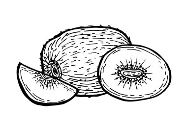 El çizimi kivi meyvesi seti. Bütünüyle ve yarısıyla ana hatlarıyla, meyve kesme. Doğrusal klasik tarzda tropikal egzotik yemekler. Kivi vektör illüstrasyonu.