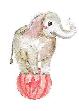 Sirk fili suluboya çizimi izole edildi. Topun üzerinde sevimli bir hayvan. Kutlama kartları, davetiyeler, bebek partileri için kullanılabilir.