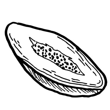 Papaya meyvesi yarım çizim, yan görüş. Doğrusal şekilde elle çizilmiş vektör çizimi. Gıda etiketleri ve logo için klasik pawpaw.
