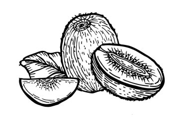 El çizimi kivi meyvesi çizimi beyaza izole edilmiş. Yapraklı tropikal meyve çizimi. Gıda tasarımı için çizim yapılıyor.