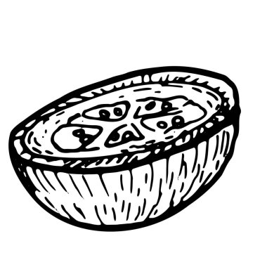 Guava 'nın ana hatları. Tropikal meyvelerin vektör besin çizimi. Klasik eskiz tarzında taze ve kuru meyve. Satır sanatı.