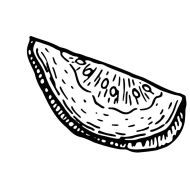 Guava vektör gıda illüstrasyonu. Klasik eskiz tarzında taze ve kurutulmuş tropikal meyve. Doğal organik bitki, doğrusal mürekkep çiziminde sağlıklı diyet sanatı, oyma tarzı.