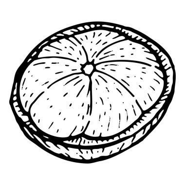 Mangosteen meyve illüstrasyonu. Yarısı beyaz hamurlu, izole edilmiş, doğal organik Asya malzemesi, sağlıklı yaz yemeği sanatı..