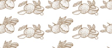 Ejderha gözü, yiyecekleri ve kozmetik ürünleri için meyveleri olan kusursuz vektör deseni. Klasik doğrusal çizim çizimi.