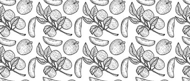 Yıldız elmalı kusursuz desen, vektör çizimi. Mürekkep Cainito ya da dallı caimito mor meyveler çiziyor. Tek renkli tasarım.